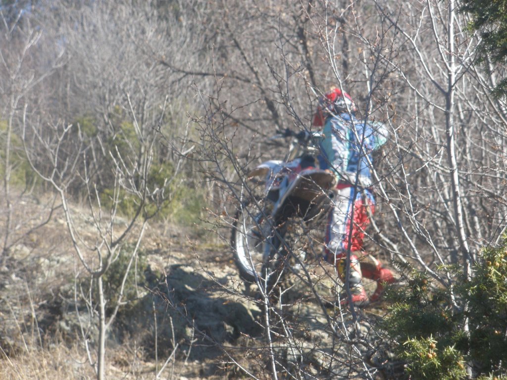 Натиснете снимката за да я уголемите

Име:P2060002.jpg
Прегледи:1
Размер:200.9 КБ
ID:5250690