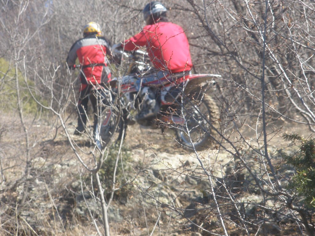 Натиснете снимката за да я уголемите

Име:P2060006.jpg
Прегледи:1
Размер:196.0 КБ
ID:5250694