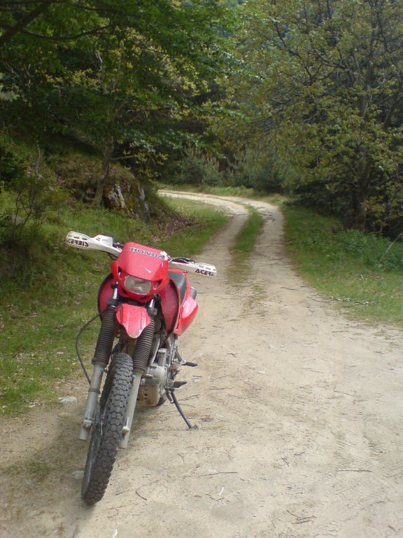 Натиснете снимката за да я уголемите

Име:DSC00927.jpg
Прегледи:1
Размер:111.3 КБ
ID:5254563