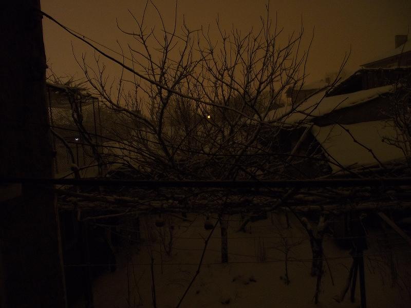 Натиснете снимката за да я уголемите

Име:2011_03030014.JPG
Прегледи:1
Размер:79.8 КБ
ID:5257650