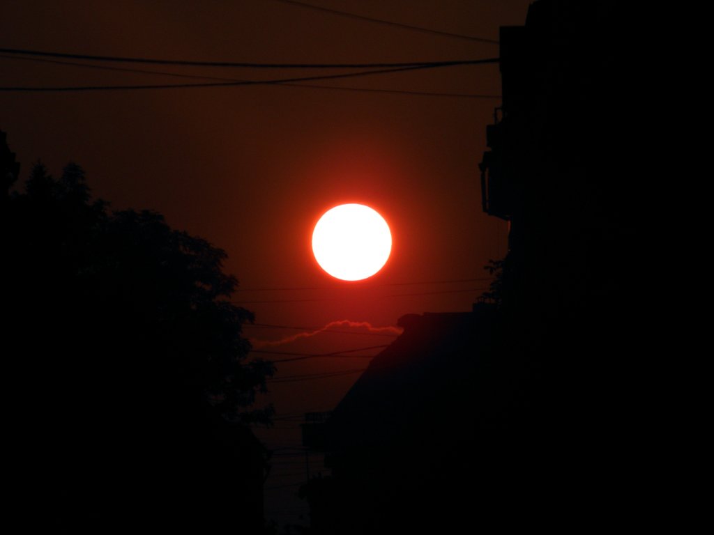 Натиснете снимката за да я уголемите

Име:P7310028.jpg
Прегледи:1
Размер:29.2 КБ
ID:5257790