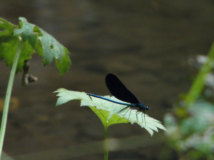 Натиснете снимката за да я уголемите

Име:45784_1556870129684_1473159613_31499479_3565623_n.jpg
Прегледи:1
Размер:46.4 КБ
ID:5257792