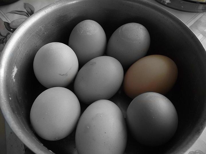 Натиснете снимката за да я уголемите

Име:2011_03050002s.jpg
Прегледи:1
Размер:48.6 КБ
ID:5257830