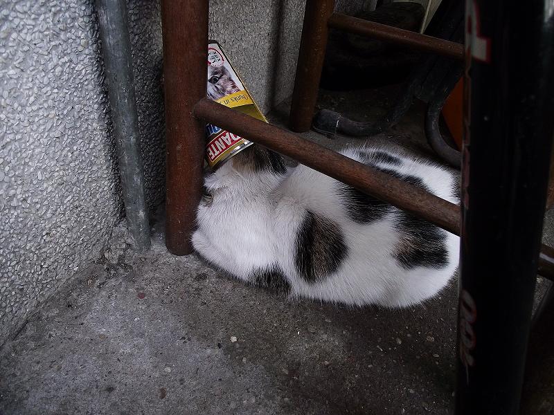 Натиснете снимката за да я уголемите

Име:2011_03060044.JPG
Прегледи:1
Размер:136.9 КБ
ID:5258536