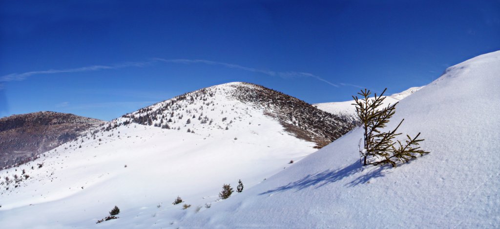 Натиснете снимката за да я уголемите

Име:Untitled_Panorama18.jpg
Прегледи:1
Размер:71.9 КБ
ID:5258628