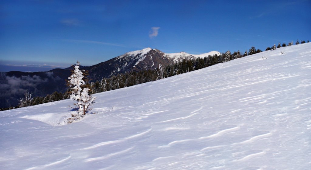 Натиснете снимката за да я уголемите

Име:Untitled_Panorama30.jpg
Прегледи:1
Размер:79.9 КБ
ID:5258645