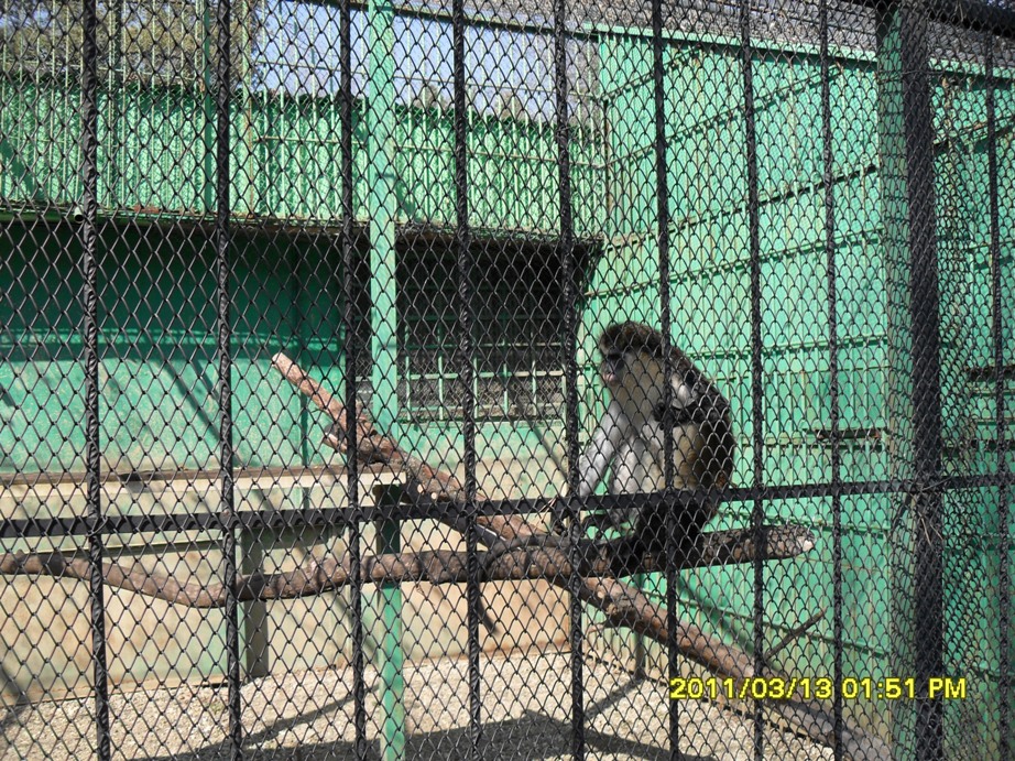Натиснете снимката за да я уголемите

Име:SDC12457-.JPG
Прегледи:1
Размер:399.4 КБ
ID:5921138
