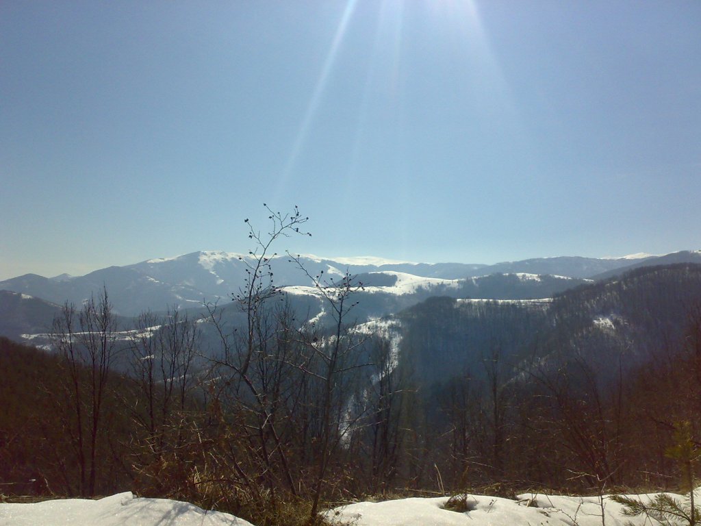 Натиснете снимката за да я уголемите

Име:13032011044.jpg
Прегледи:3
Размер:105.7 КБ
ID:5347266
