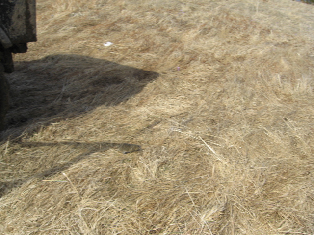 Натиснете снимката за да я уголемите

Име:IMG_0498.JPG
Прегледи:1
Размер:208.2 КБ
ID:5263564