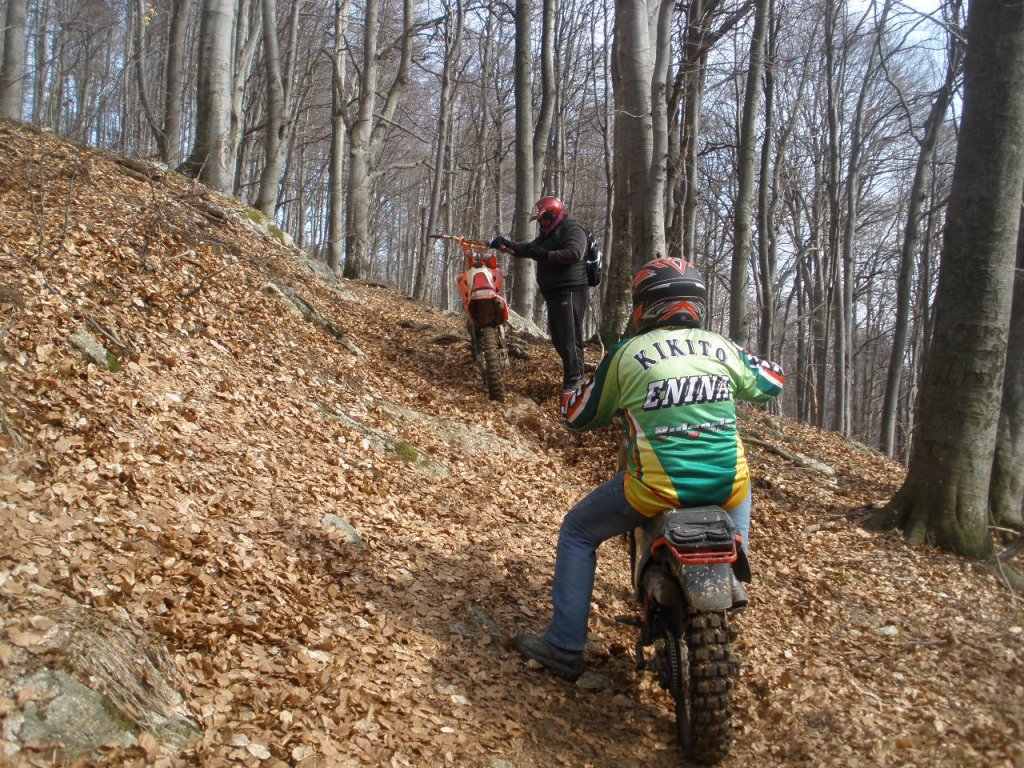 Натиснете снимката за да я уголемите

Име:P3260041.jpg
Прегледи:1
Размер:294.1 КБ
ID:5265269