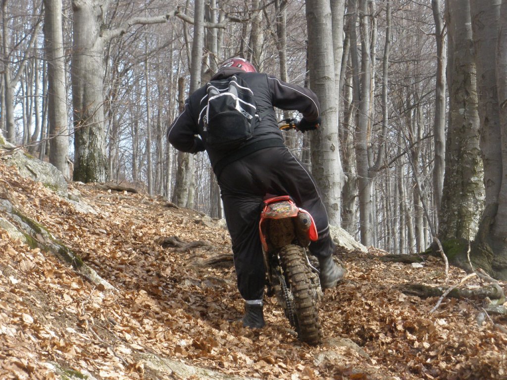 Натиснете снимката за да я уголемите

Име:P3260042.jpg
Прегледи:1
Размер:261.7 КБ
ID:5265270