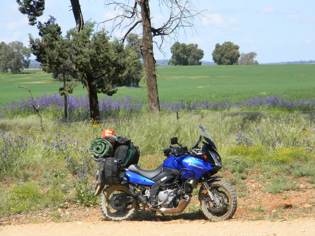 Натиснете снимката за да я уголемите

Име:DubbotoTrundle03.jpg
Прегледи:1
Размер:305.3 КБ
ID:5265470