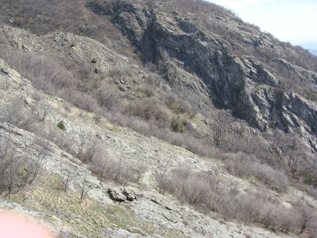 Натиснете снимката за да я уголемите

Име:DSC04610.jpg
Прегледи:1
Размер:236.1 КБ
ID:5266063