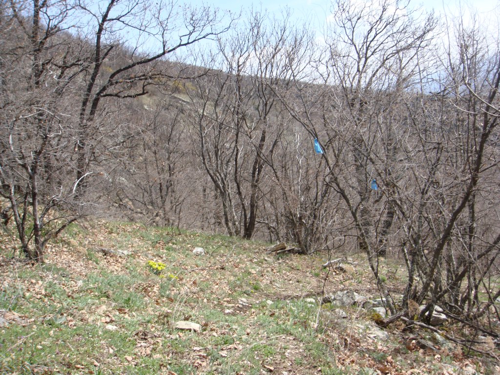 Натиснете снимката за да я уголемите

Име:DSC04614.jpg
Прегледи:1
Размер:309.4 КБ
ID:5266066