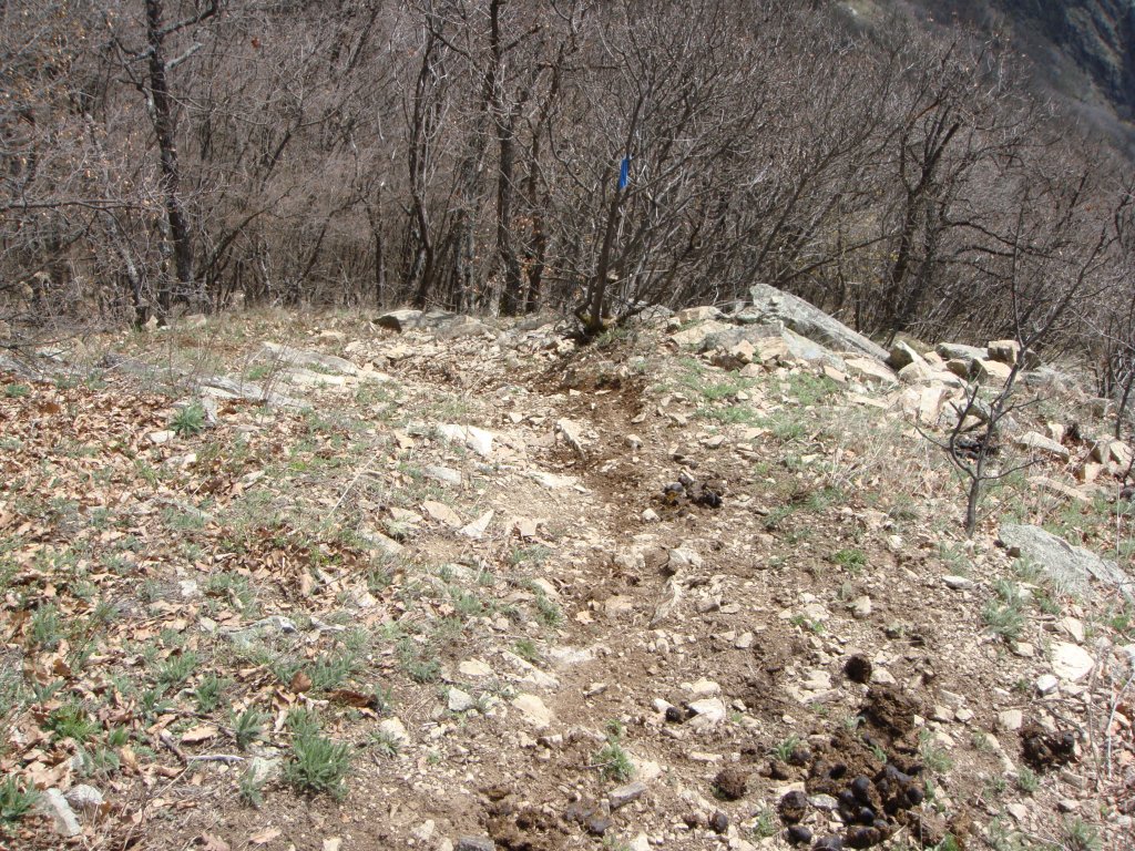 Натиснете снимката за да я уголемите

Име:DSC04622.jpg
Прегледи:1
Размер:330.2 КБ
ID:5266075