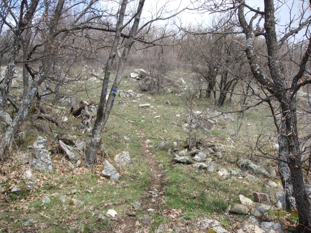 Натиснете снимката за да я уголемите

Име:DSC04626.jpg
Прегледи:1
Размер:307.2 КБ
ID:5266078