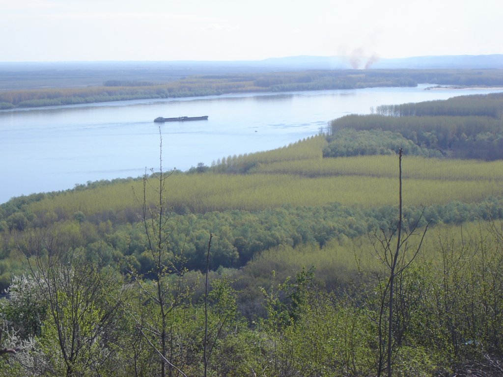 Натиснете снимката за да я уголемите

Име:DSC00154.jpg
Прегледи:1
Размер:151.2 КБ
ID:5267359