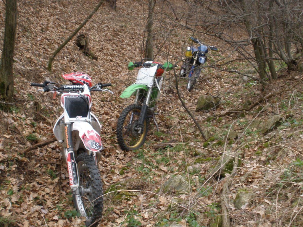 Натиснете снимката за да я уголемите

Име:P4100011.jpg
Прегледи:1
Размер:240.8 КБ
ID:5267476