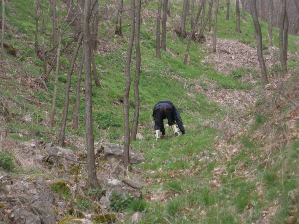 Натиснете снимката за да я уголемите

Име:P4100012.jpg
Прегледи:1
Размер:182.1 КБ
ID:5267477