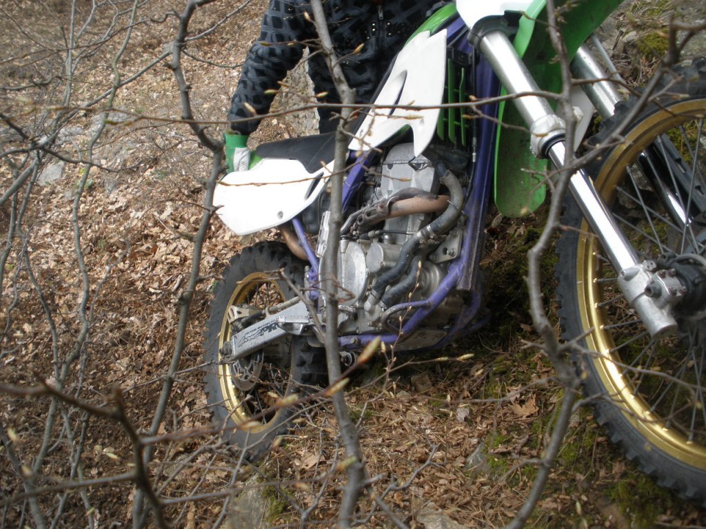 Натиснете снимката за да я уголемите

Име:P4100015.jpg
Прегледи:1
Размер:224.7 КБ
ID:5267481