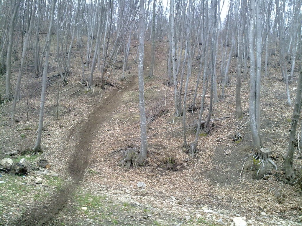 Натиснете снимката за да я уголемите

Име:16042011609.jpg
Прегледи:1
Размер:294.2 КБ
ID:5269792