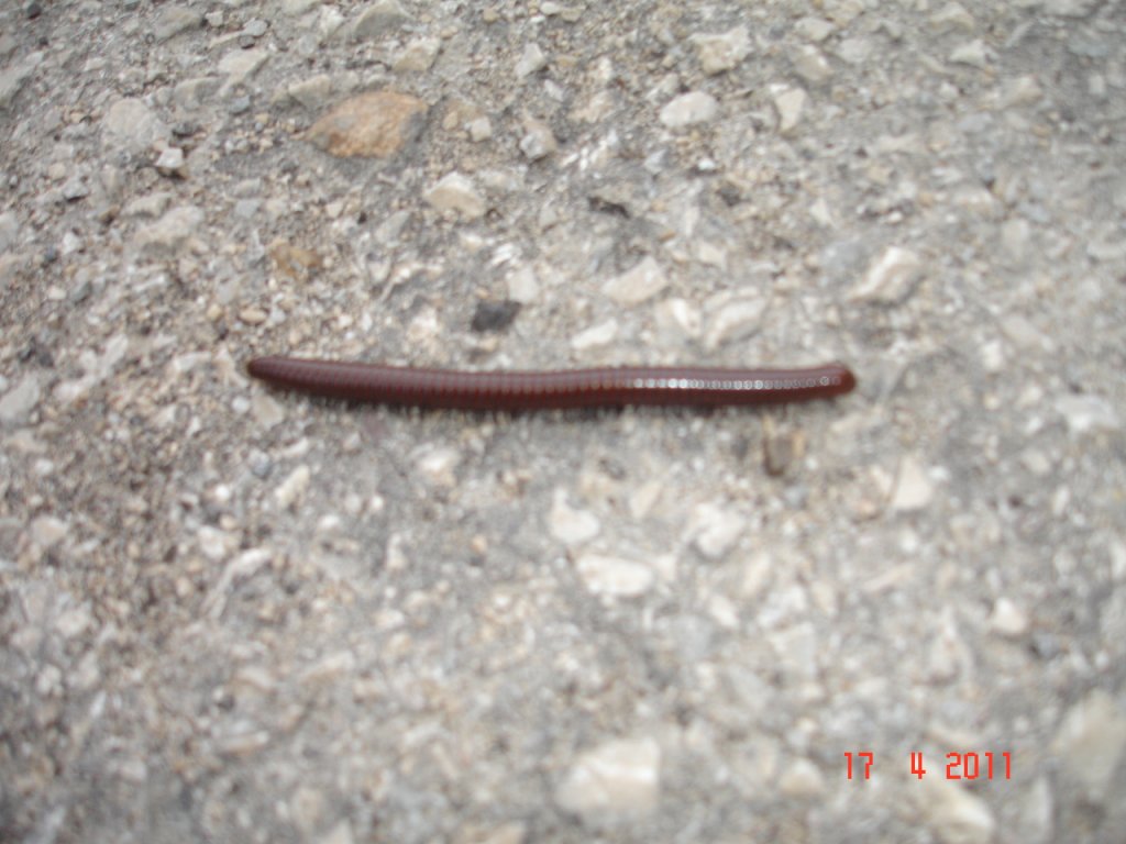 Натиснете снимката за да я уголемите

Име:DSC00059.jpg
Прегледи:1
Размер:119.9 КБ
ID:5270238