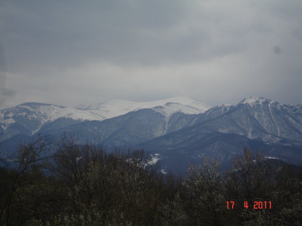 Натиснете снимката за да я уголемите

Име:DSC00042.jpg
Прегледи:1
Размер:75.6 КБ
ID:5270239