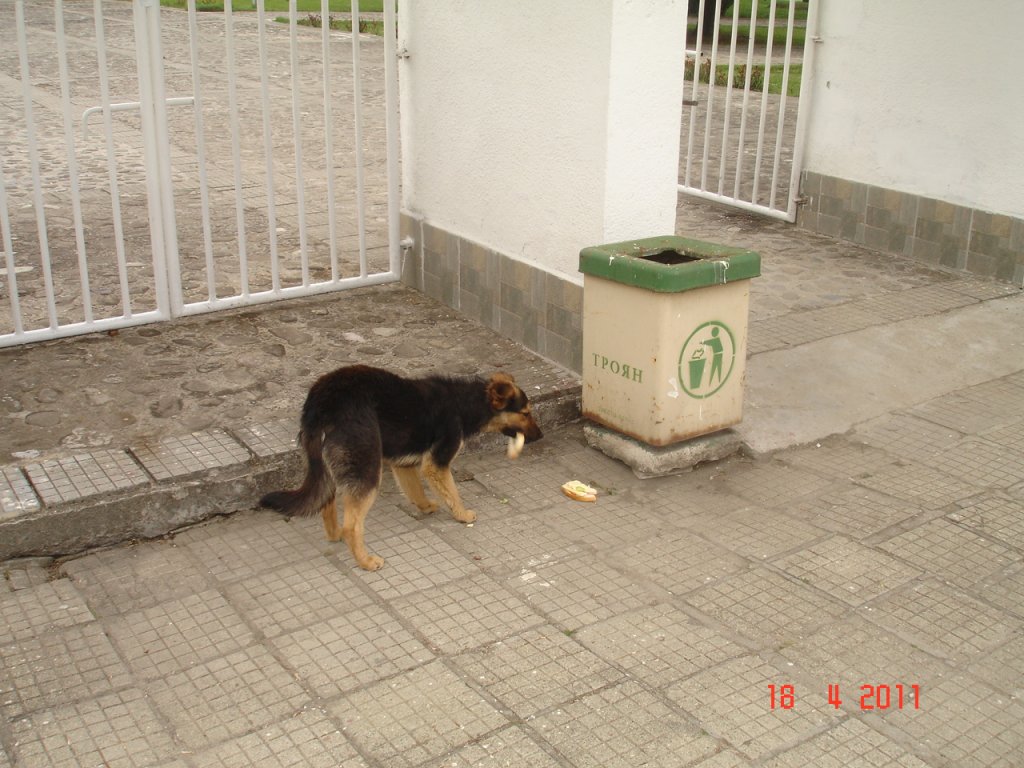 Натиснете снимката за да я уголемите

Име:DSC00098.jpg
Прегледи:1
Размер:159.2 КБ
ID:5270352