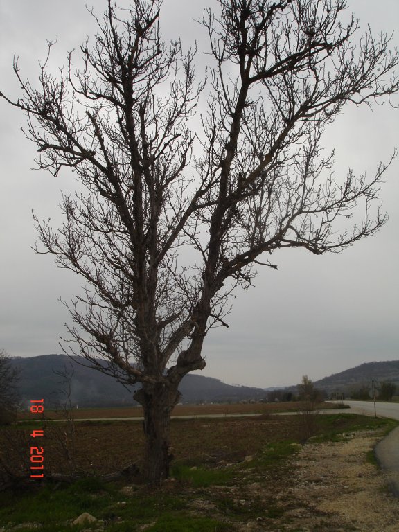 Натиснете снимката за да я уголемите

Име:DSC00111.jpg
Прегледи:1
Размер:130.7 КБ
ID:5270353