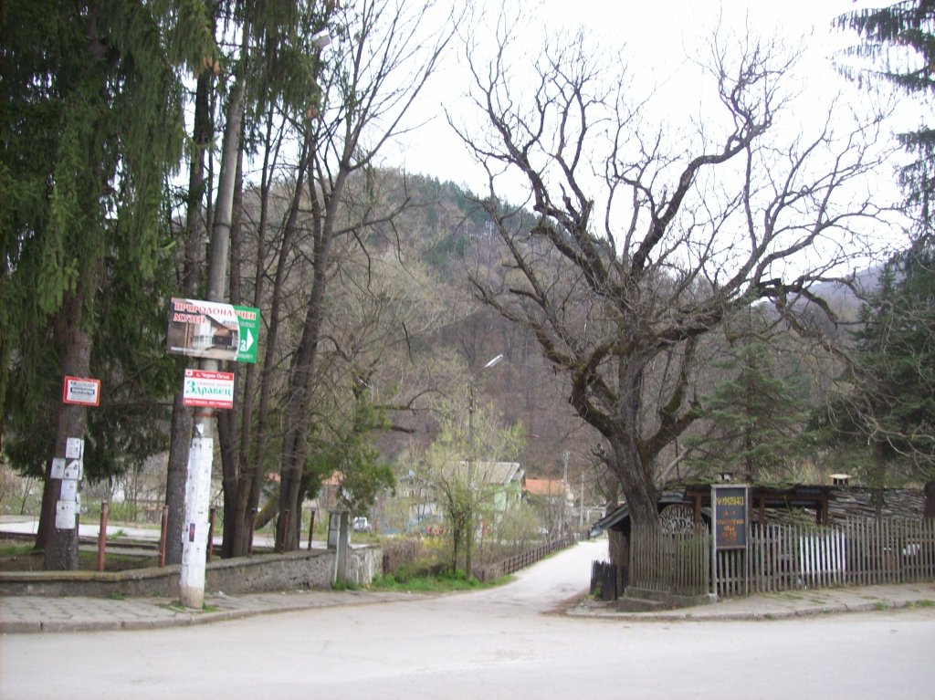 Натиснете снимката за да я уголемите

Име:100_3973.jpg
Прегледи:1
Размер:193.2 КБ
ID:5270403