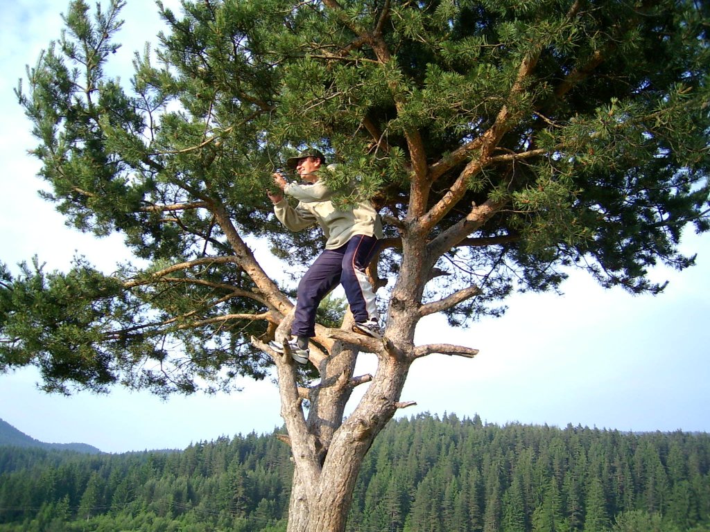 Натиснете снимката за да я уголемите

Име:PIC_0042.jpg
Прегледи:1
Размер:262.7 КБ
ID:5270715