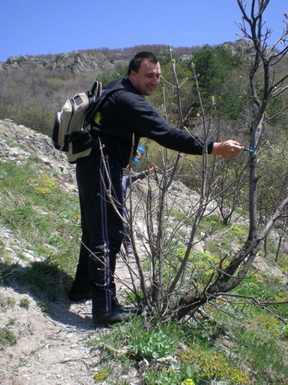 Натиснете снимката за да я уголемите

Име:Picture2 822.jpg
Прегледи:1
Размер:128.8 КБ
ID:5271705