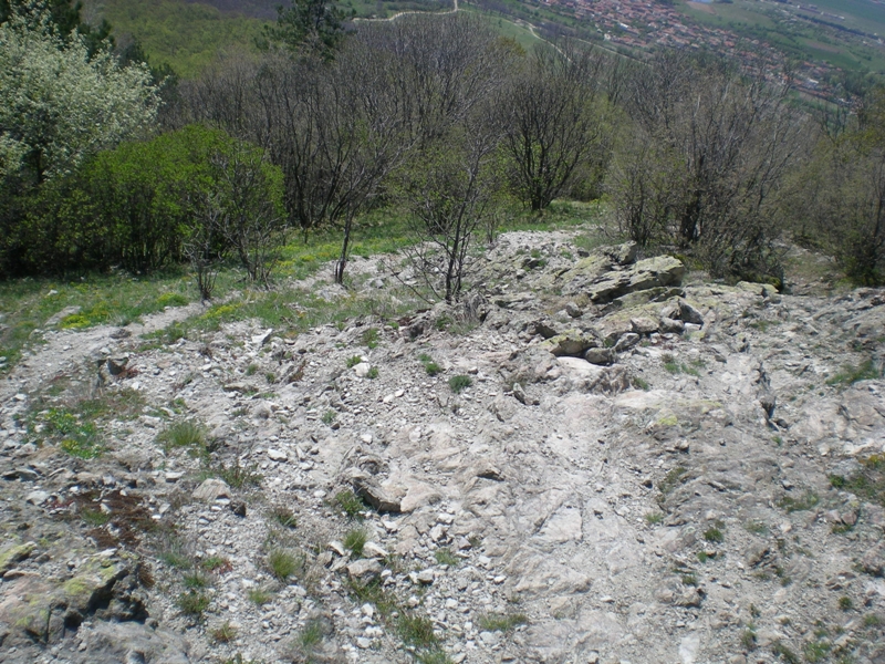 Натиснете снимката за да я уголемите

Име:Picture2 824.JPG
Прегледи:1
Размер:562.0 КБ
ID:5271714