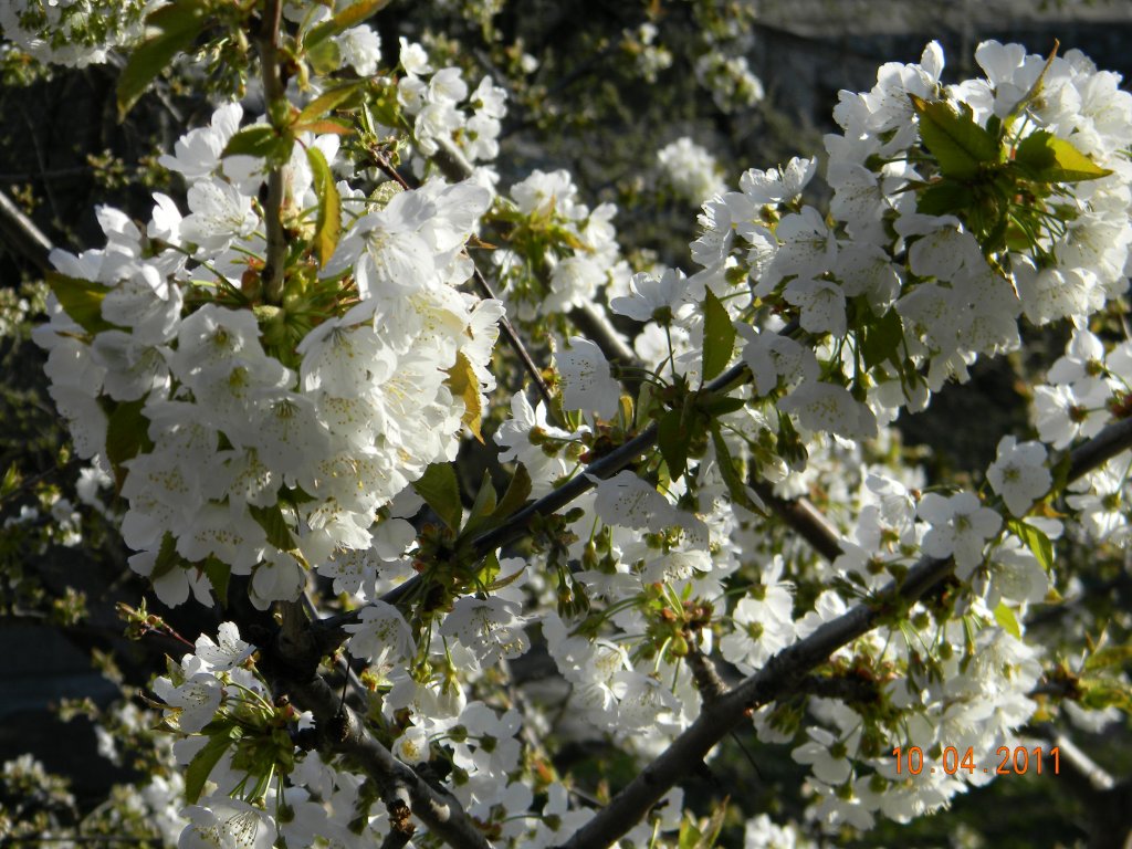 Натиснете снимката за да я уголемите

Име:DSCN0155.jpg
Прегледи:1
Размер:185.7 КБ
ID:5273755