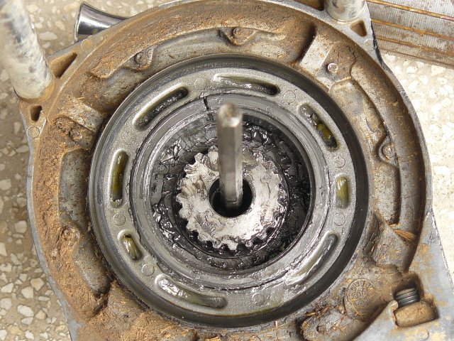 Натиснете снимката за да я уголемите

Име:P1210918.JPG
Прегледи:1
Размер:127.8 КБ
ID:5274131