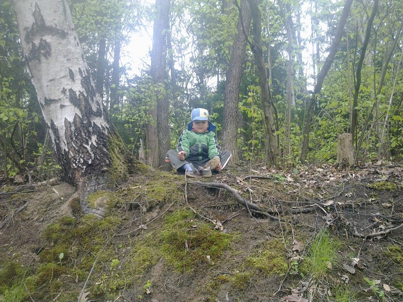 Натиснете снимката за да я уголемите

Име:10052011085.jpg
Прегледи:1
Размер:263.2 КБ
ID:5277839