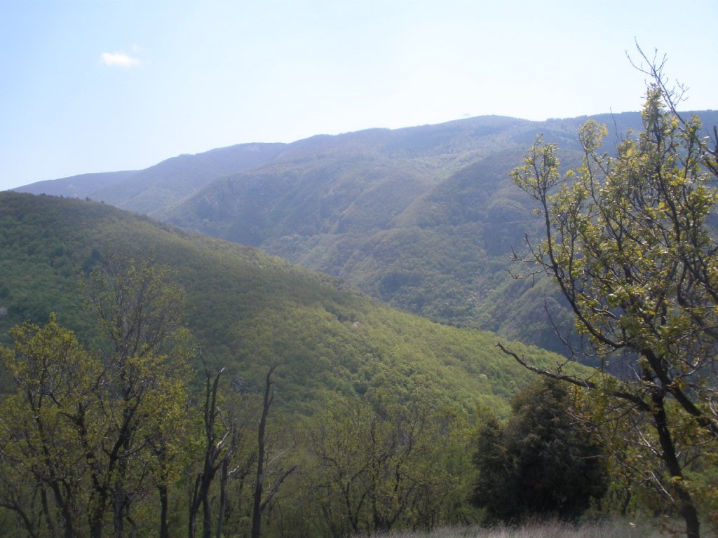 Натиснете снимката за да я уголемите

Име:P5140013.jpg
Прегледи:1
Размер:137.8 КБ
ID:5278798