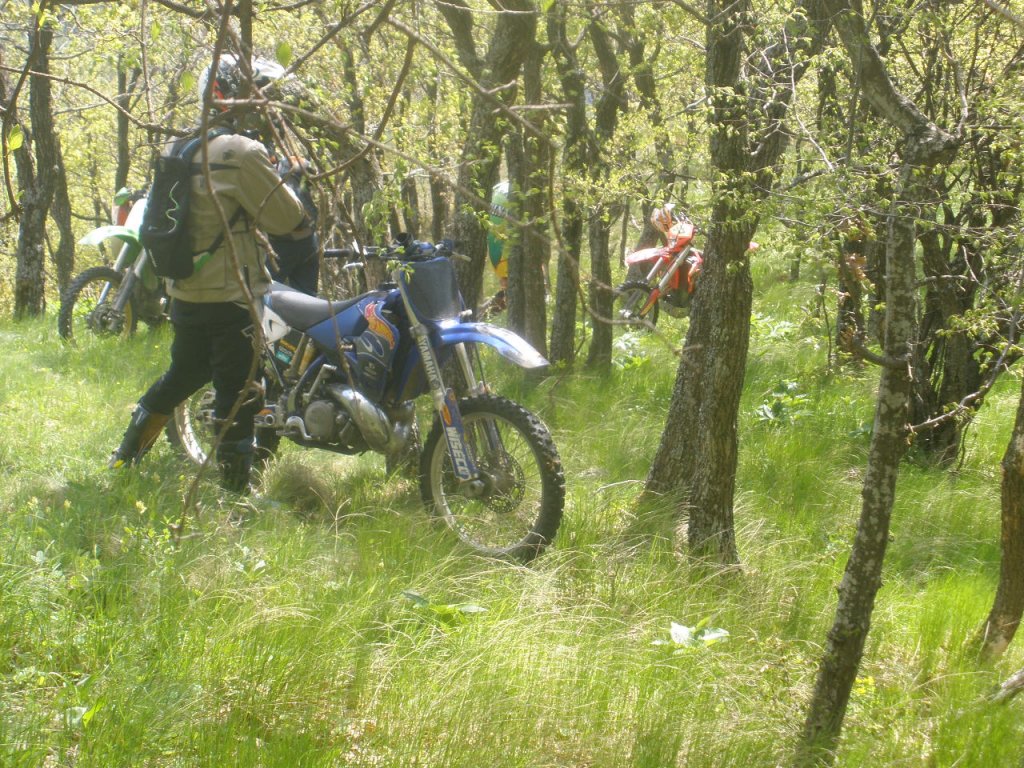 Натиснете снимката за да я уголемите

Име:P5140014.jpg
Прегледи:1
Размер:260.0 КБ
ID:5278799