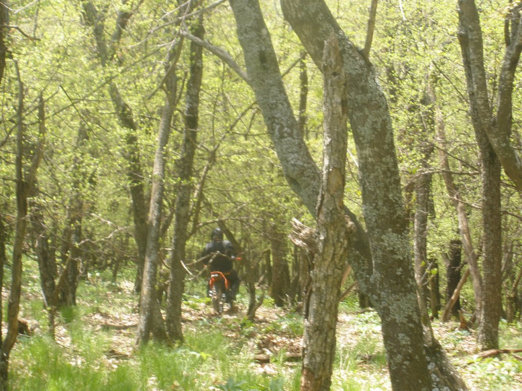 Натиснете снимката за да я уголемите

Име:P5140015.jpg
Прегледи:1
Размер:224.5 КБ
ID:5278800