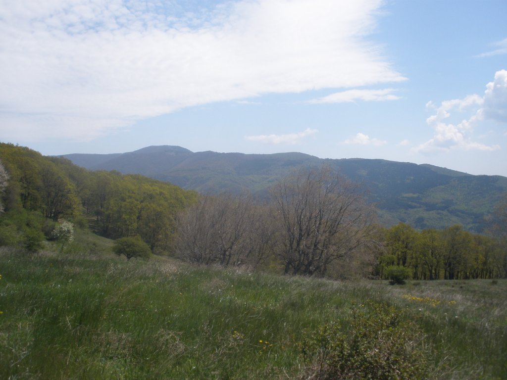 Натиснете снимката за да я уголемите

Име:P5140017.jpg
Прегледи:1
Размер:110.0 КБ
ID:5278801