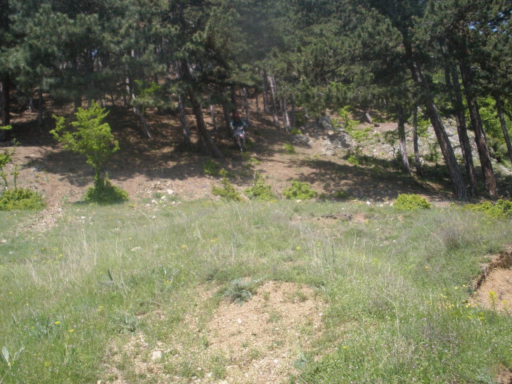 Натиснете снимката за да я уголемите

Име:P5140018.jpg
Прегледи:1
Размер:216.6 КБ
ID:5278802