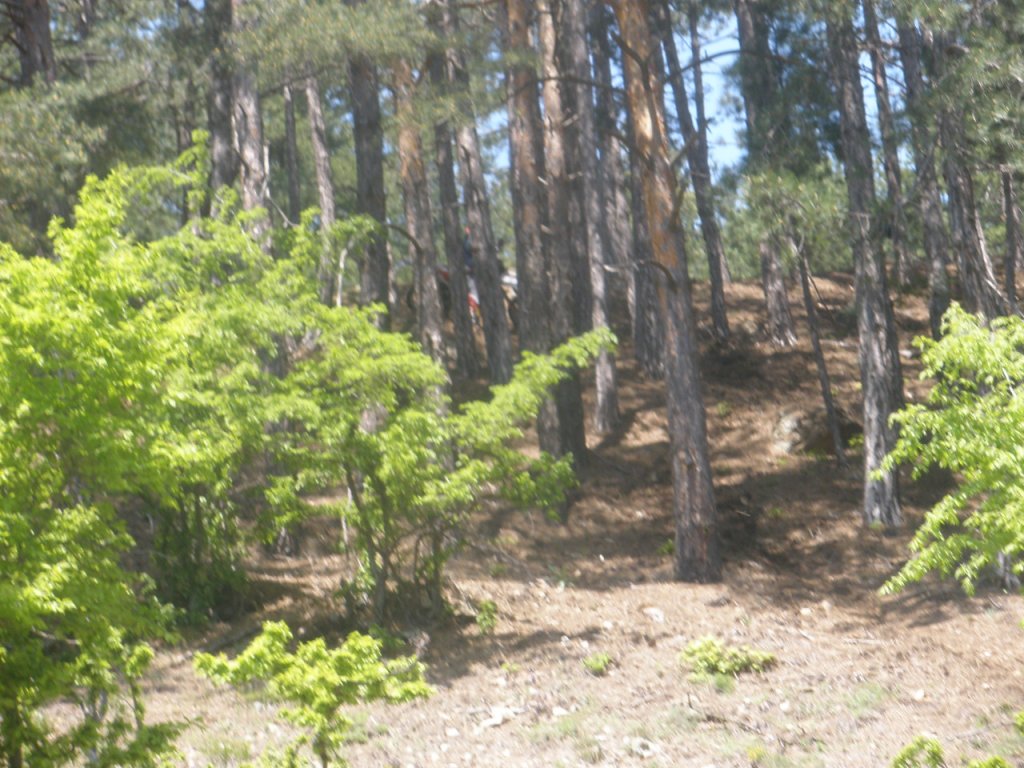 Натиснете снимката за да я уголемите

Име:P5140019.jpg
Прегледи:1
Размер:178.4 КБ
ID:5278803