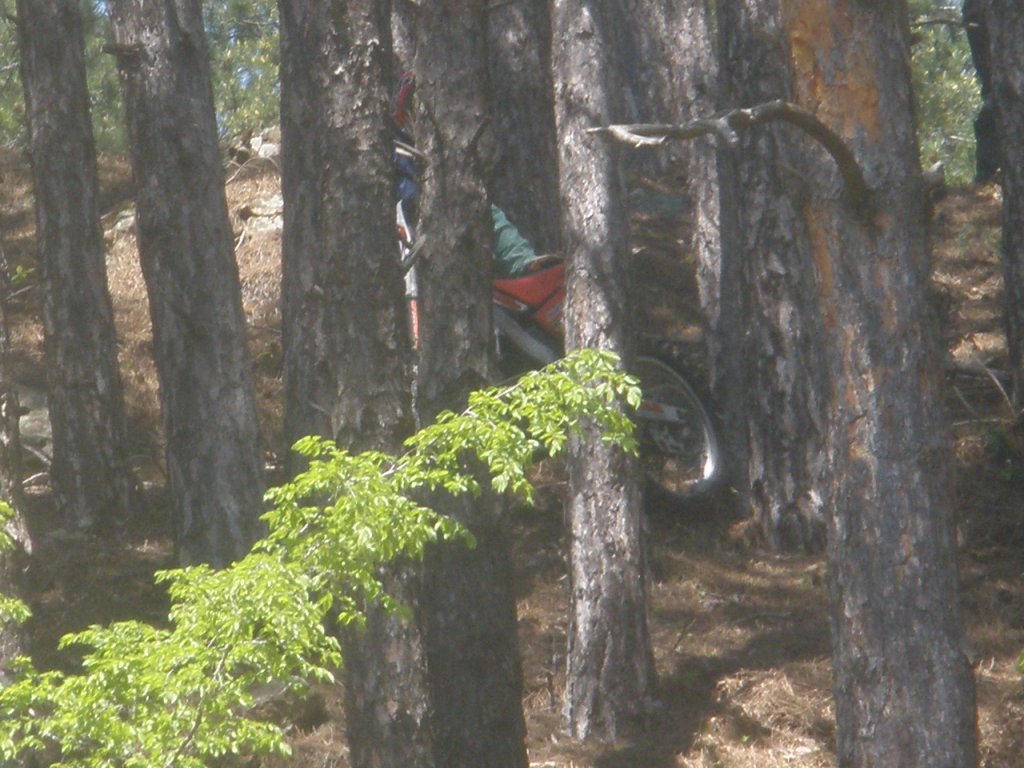 Натиснете снимката за да я уголемите

Име:P5140020.jpg
Прегледи:1
Размер:151.8 КБ
ID:5278813