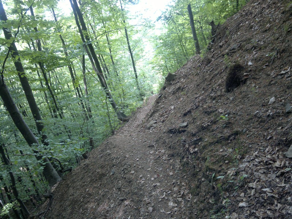 Натиснете снимката за да я уголемите

Име:21052011383.jpg
Прегледи:1
Размер:270.5 КБ
ID:5279647