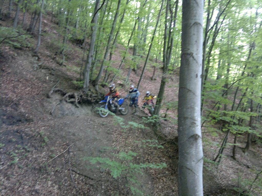 Натиснете снимката за да я уголемите

Име:21052011372.jpg
Прегледи:1
Размер:202.1 КБ
ID:5279650