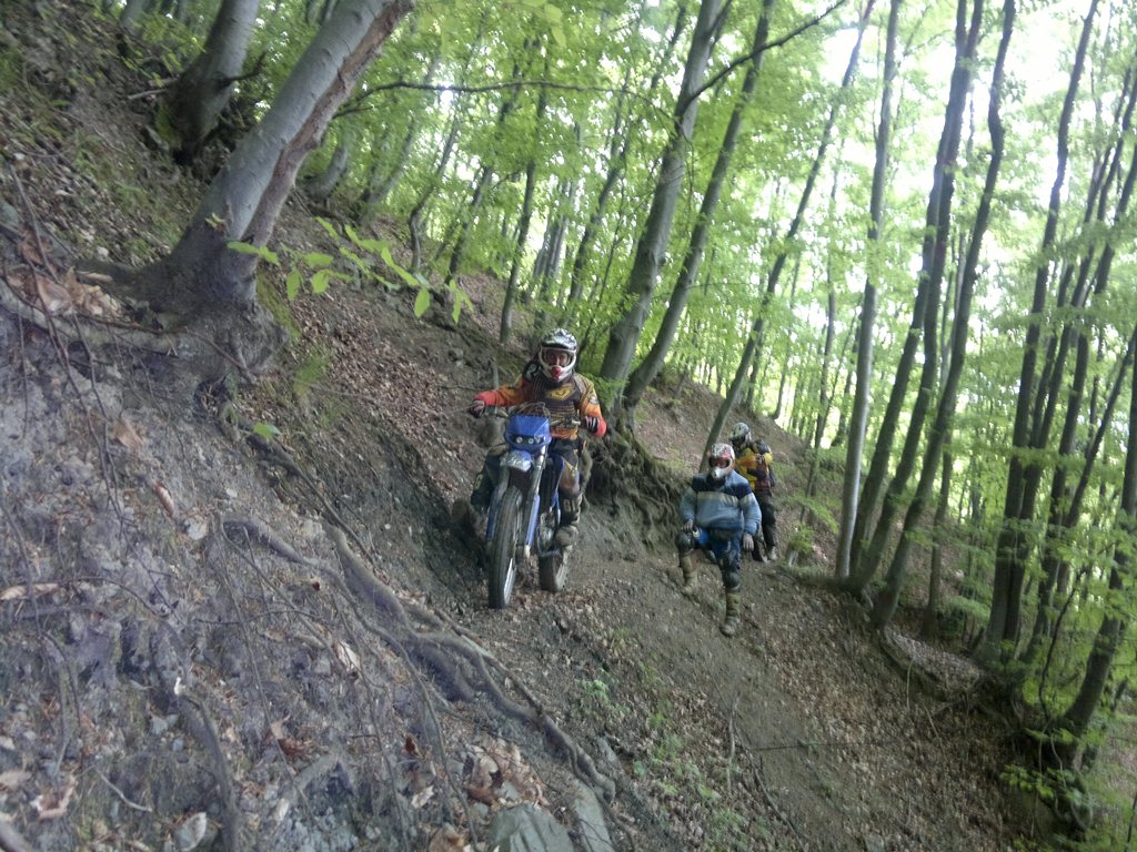 Натиснете снимката за да я уголемите

Име:21052011374.jpg
Прегледи:1
Размер:244.0 КБ
ID:5279655