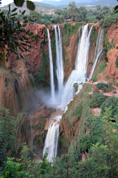 Натиснете снимката за да я уголемите

Име:IMG_2303.JPG
Прегледи:1
Размер:243.3 КБ
ID:5282385