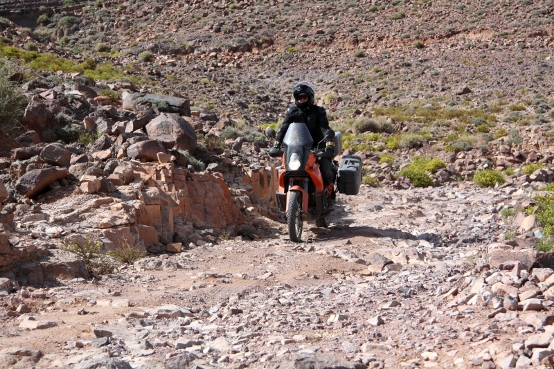 Натиснете снимката за да я уголемите

Име:IMG_2834.JPG
Прегледи:1
Размер:468.8 КБ
ID:5282389