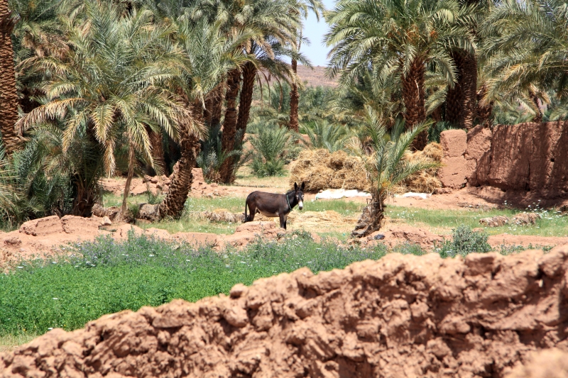 Натиснете снимката за да я уголемите

Име:IMG_2887.JPG
Прегледи:1
Размер:474.4 КБ
ID:5282818