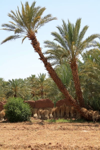 Натиснете снимката за да я уголемите

Име:IMG_2888.JPG
Прегледи:1
Размер:235.5 КБ
ID:5282820